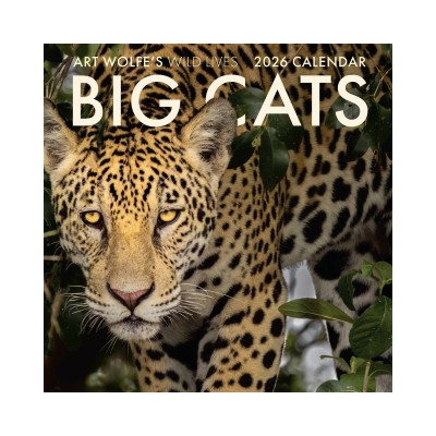 Earth Aware Editions 2026 Big Cats Wall Calendar | Wolfe, Art