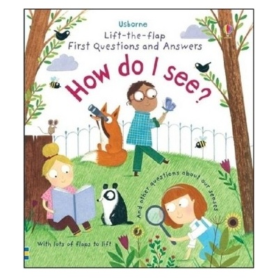 Lift-the-Flap First Questions & Answers HKatie Daynes, Christine Pym