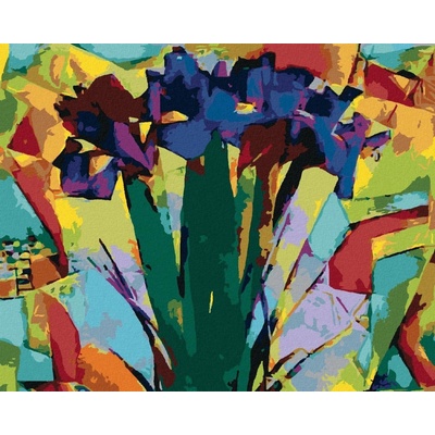 Zuty Malování Podle Čísel Abstraktní Kosatce 80 x 100 Cm Plátno