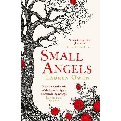 Small Angels: ´A twisting gothic tale of darkness, intrigue, heartbreak and revenge´ Jennifer Saint