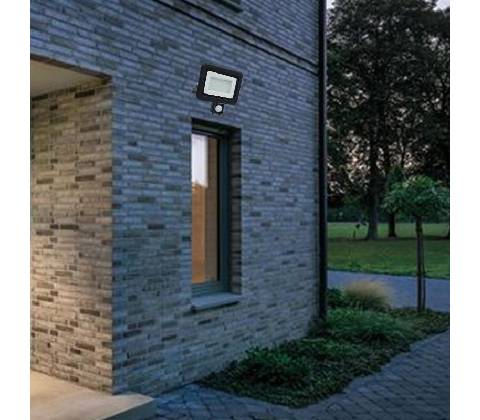 Nedes LF0024S