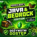 Minecraft (Java & Bedrock Edition)