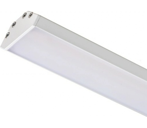 Rendl R14093