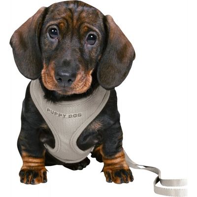 JUNIOR puppy souprava měkký postroj 26-34 cm/10mm vodítko 2,00m/10mm