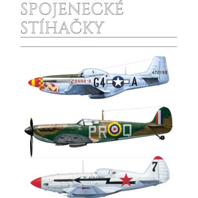 Spojenecké stíhačky 1939-1945 (identifikační příručka) - Velká Británie, USA, SSSR, Francie a další