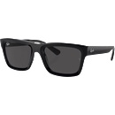 Ray-Ban Warren RB4396 667787