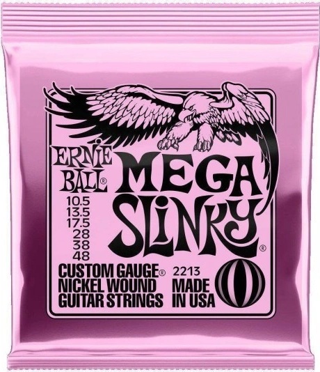 Ernie Ball 2213