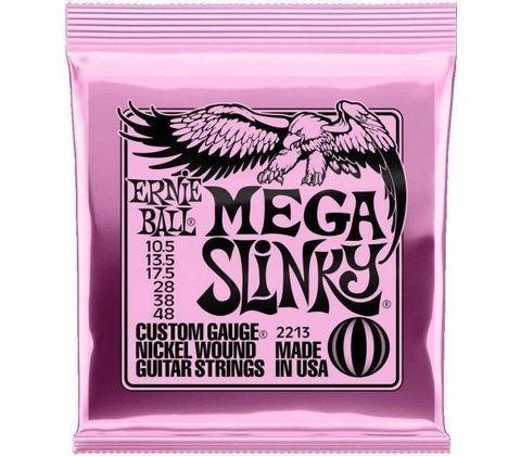 Ernie Ball 2213