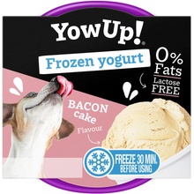 Dairy pet Yow Up! YOWUP Frozen Yoghurt zmrzlinový jogurt s příchutí slaniny 110 g