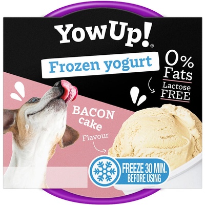 Dairy pet Yow Up! YOWUP Frozen Yoghurt zmrzlinový jogurt s příchutí slaniny 110 g