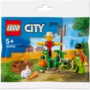 LEGO® City - Farm Garden & Scarecrow (30590)