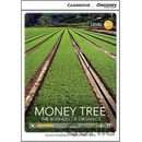 CDE 8 MONEY TREE +ONLINE CODE