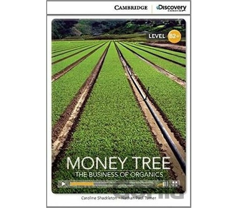 CDE 8 MONEY TREE +ONLINE CODE