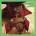 THOMAS LEON: FULL CIRCLE CD