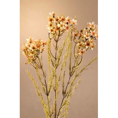 Paramit DRY WAX FLOWER Aranžovací květina krémová 78 cm