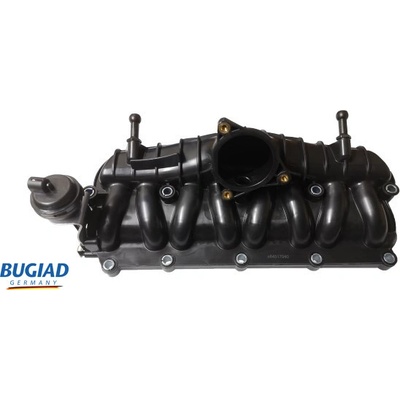 BUGIAD BIM17040