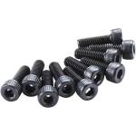 Axial Аксиален винт с вътрешен шестостен M4x12mm CH (10)