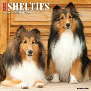 Willow Creek Press Calendars Shelties 2026 12 X 12 Wall Calendar | Willow Creek Press
