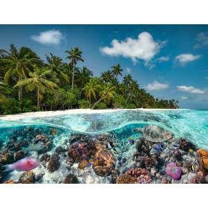 Ravensburger - Puzzle The beauties of the underwater world - 2 000 piese