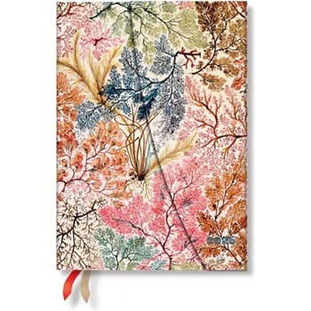 Paperblanks Планер Anemone, Midi, вертикален, твърда корица, (1570181440)