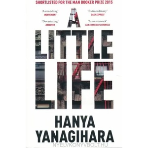 Little Life (ISBN: 9781447294832)
