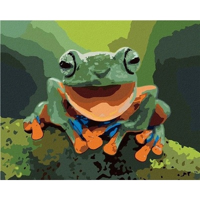 zuty Malování Podle Čísel Smějící Se Žába 40 x 50 Cm Plátno Rám