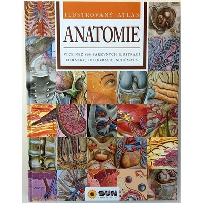 Anatomie - Ilustrovaný atlas