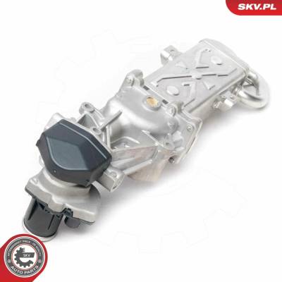 AGR - Ventil ESEN SKV 14SKV094