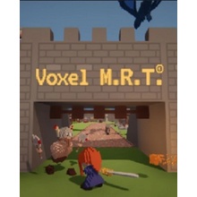 Voxel M.R.T.