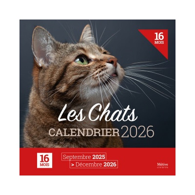 Calendrier des chats 2026