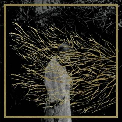 Forest Swords - Engravings CD