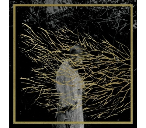 Forest Swords - Engravings CD