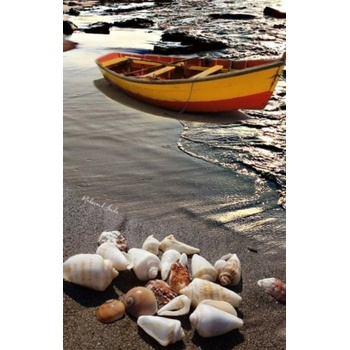 Image 1 of Лодка на брега 40/50 см