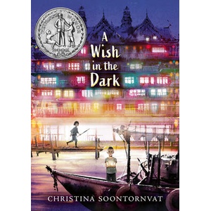 A Wish in the Dark | Christina Soontornvat (ISBN: 9781536204940)