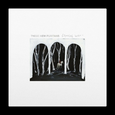 These New Puritans - CROOKED WING Vinyl