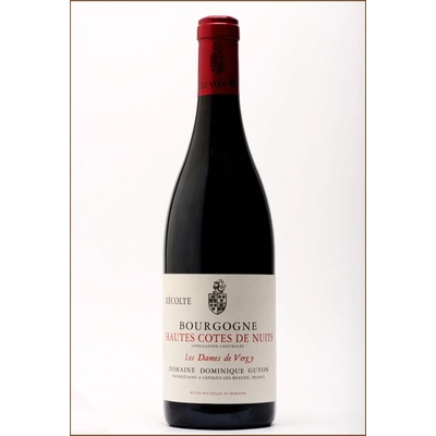 Burgundy wines Hautes Cotes De Nuits Les Dames De Vergy