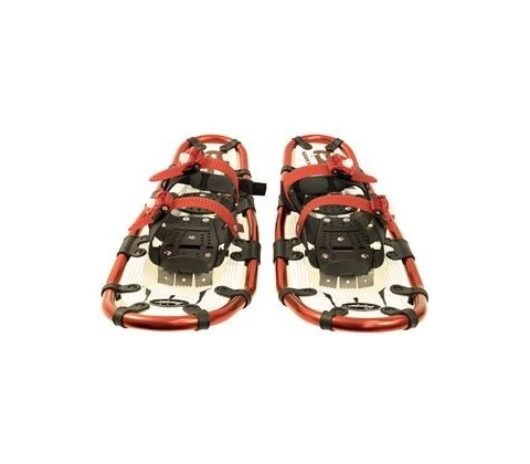 YATE Raptor