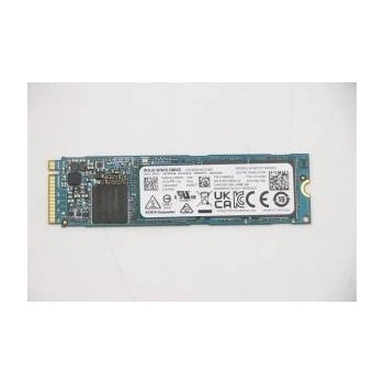 Lenovo 256GB 01LX200