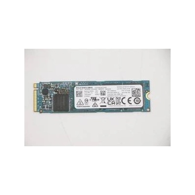 Lenovo 256GB 01LX200