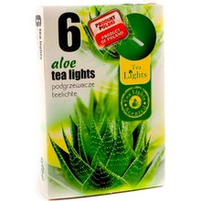 Admit Tea Lights Aloe 6 ks