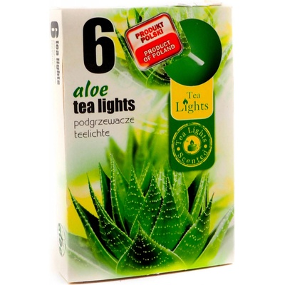 Admit Tea Lights Aloe 6 ks