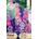Opal Zi Ралица (Делфиниум ) Delphinium ajacis