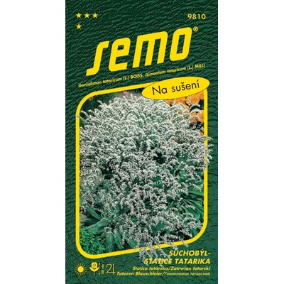 Semo Suchobýl tatarský - Statice tatarika bílý 0,2g