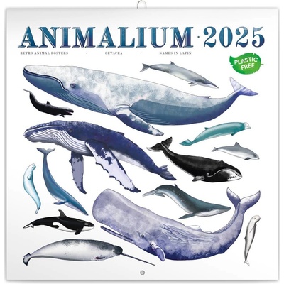 NOTIQUE Poznámkový Animalium 30 x 30 cm 2025