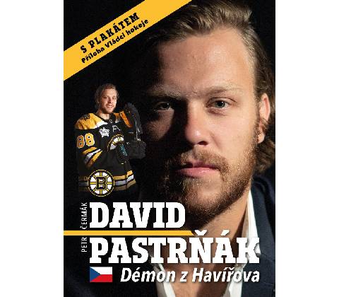 David Pastrňák