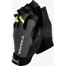 Camp Axion Light