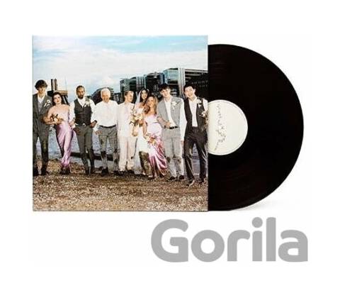 RM (BTS) - Right Place, Wrong Person LP