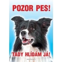 Grel nálepka pozor pes border kolie