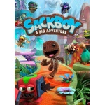 Sony Sackboy A Big Adventure (PC)