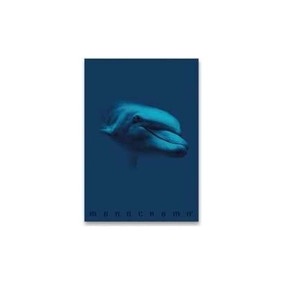 Monocromo Školní sešit Blue A4 linkovaný